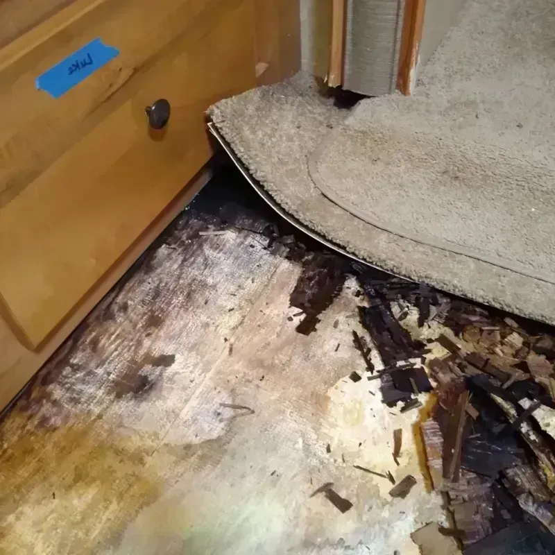 Best Wood Floor Water Damage Service in Gold Canyon, AZ